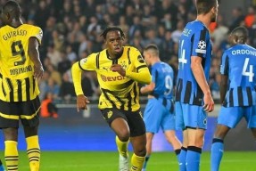  哈兰德进球集锦2022 